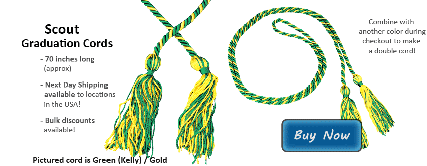 Girl Scout Graduation Cords Picture