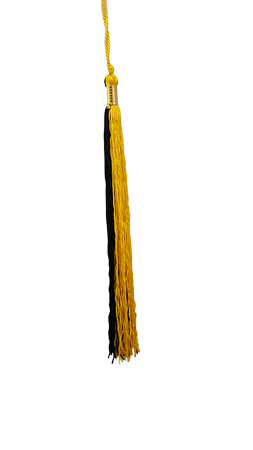Gold and Black Graduation Tassel Picture